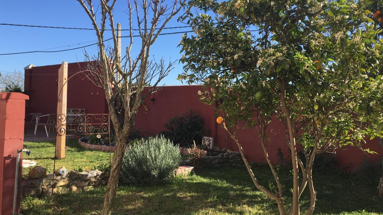 Higos Chumbos, Casa Rural Compartido チクラナ・デ・ラ・フロンテーラ エクステリア 写真
