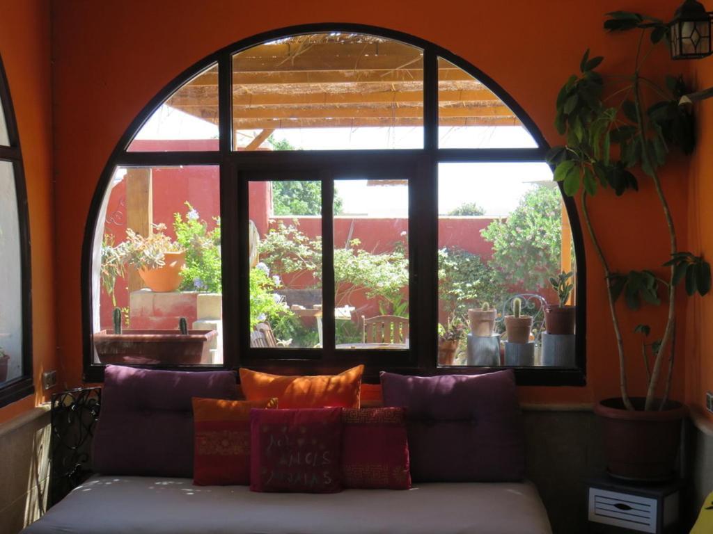 Higos Chumbos, Casa Rural Compartido チクラナ・デ・ラ・フロンテーラ エクステリア 写真
