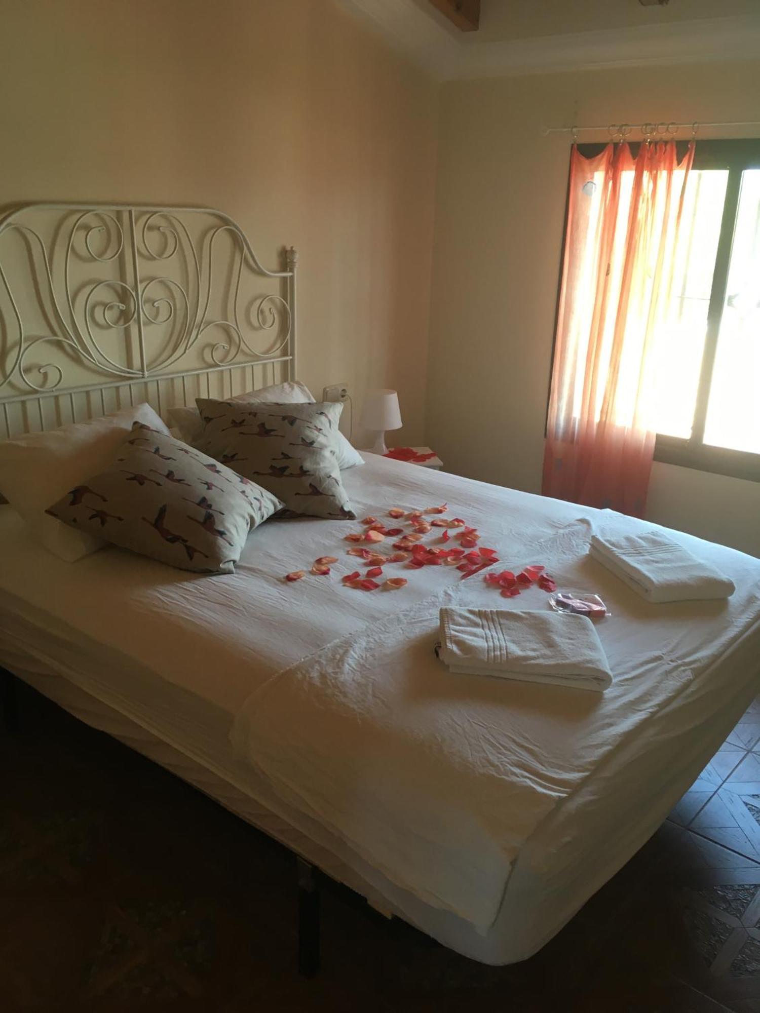 Higos Chumbos, Casa Rural Compartido チクラナ・デ・ラ・フロンテーラ 部屋 写真